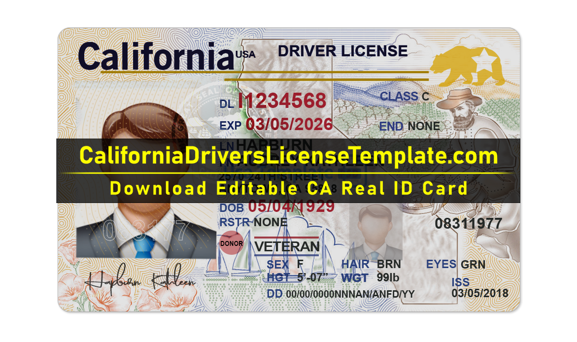 free-california-drivers-license-template-editable-free-koshervast
